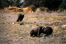 Photo by Kevin Carter